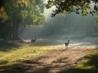 Wildgehege Glauer Tal mit NaturParkZentrum