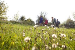 Wandern durch den Fläming, Foto: TMB/Hahn