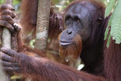 Foto: &copy; Zorillafilm Grospitz & Westphalen