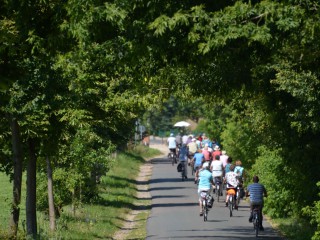 leichte Radtour durch den Naturpark Nuthe-Nieplitz