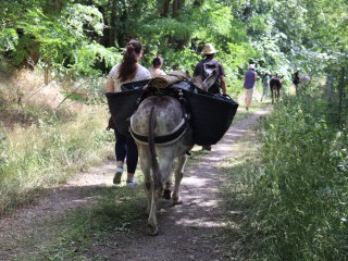Eselwanderung in den Glauer Bergen (Kopie)