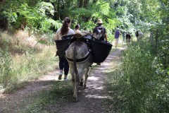 Eselwanderung, Foto: Anja Emrich, Lizenz: Landschafts-Förderverein Nuthe-Nieplitz-Niederung e.V.