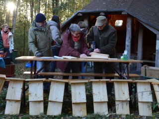 Hilfe für Wildtiere: Fledermauskasten-Bau