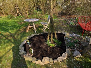 Permakultur - bepflanzte Baumscheiben