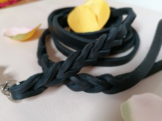Lederkurs - Hundehalsband und Leinen selbst gemacht