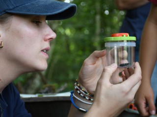 Wildtierhilfe im Fr&uuml;hling - Winterferienprogramm
