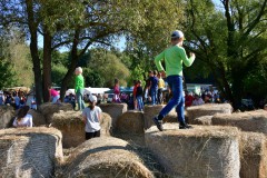 Foto: Annemarie Weller, Lizenz: LFV