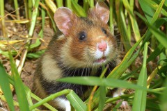 Foto: &copy; Jens Hamann/WDR