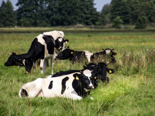 Biohof Rabe