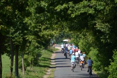 Radwandern, Foto: LFV, Lizenz: Landschafts-Förderverein Nuthe-Nieplitz-Niederung e.V.