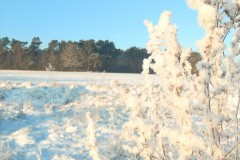 Winter Michendorf, Foto: Antje Tischer, Lizenz: Tourismusverband Fläming e.V.