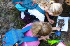 Kinder suchen Ameisenlöwen, Foto: A. Futterer, Lizenz: Naturschutzfonds Brandenburg