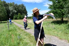 Mähen mit der Sense, Foto: Lisa Hunger, Lizenz: Landschafts-Förderverein Nuthe-Nieplitz-Niederung e.V.