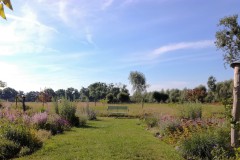 Hortus Terrigenus - Der Vielfältige Landschaftsgarten, Foto: Ariane Hofmann