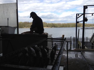 Fischerhof Seddin