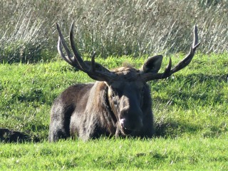 Naturparkgespräche – Wie geht es Bert?