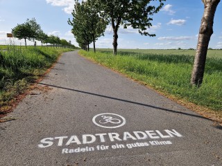 Radtour: Radeln, staunen, verweilen - unterwegs im Naturpark Nuthe-Nieplitz