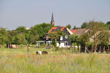 Stücken © Peter Koch