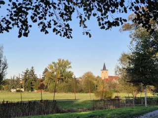 Wanderung zum Adventsmarkt in Beelitz