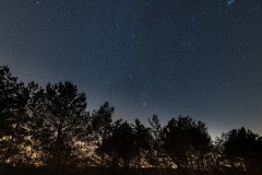 Foto: Dr. Tilo Geisel, Lizenz: Wildnisstiftung