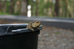 Foto: Ulrich Schr&ouml;der