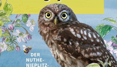 Kauzgeplauder - der Nuthe-Nieplitz-Podcast