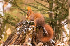 Foto: &copy; Andreas Hartl