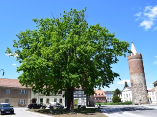 Heilig-Geist-Platz Jüterbog