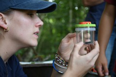 Foto: Carlotta Susnik, Lizenz: LFV