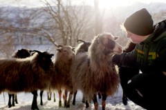 Foto: Produksjoner AS, Lizenz: Produksjoner AS