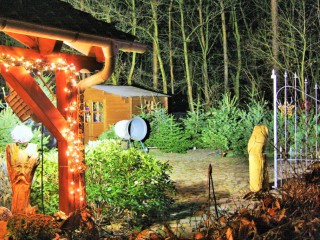 Wunder aus Holz 