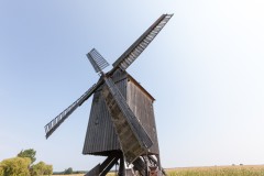 Beelitzer Bockwindmühle, Foto: Jedrzej Marzecki