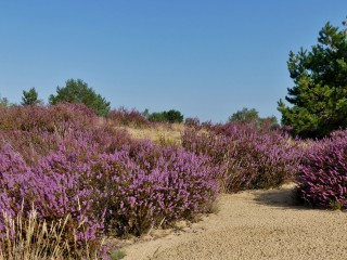 Naturverbindung im Wildnisgebiet wecken