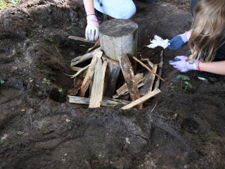 Hilfe f&uuml;r Insekten: Wir bauen einen K&auml;ferkeller