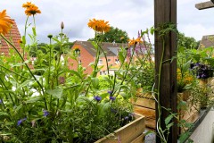 Foto: Angela Hachmeister, Lizenz: Angela Hachmeister